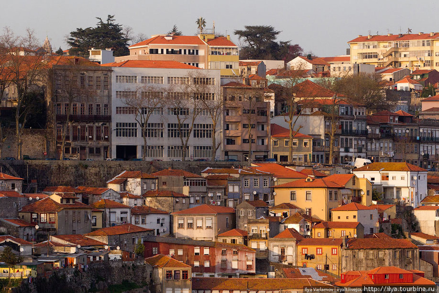 Порту Порту, Португалия