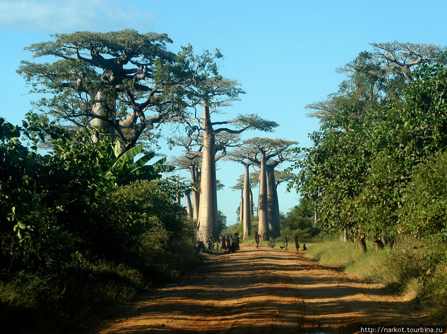 Мадагаскар Провинция Антананариву, Мадагаскар