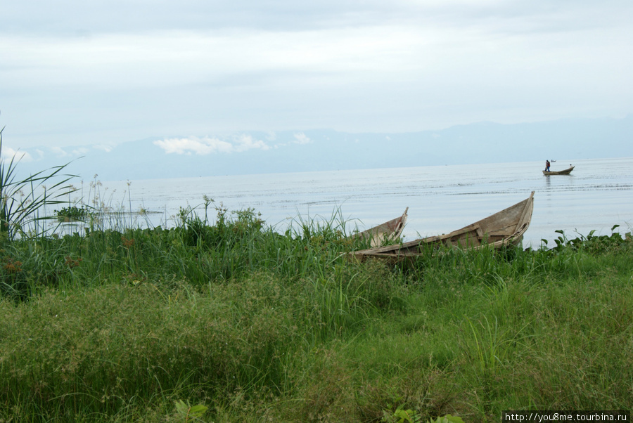 А в глазах Африка (Вдали от цивилизации) Озеро Альберт, Уганда