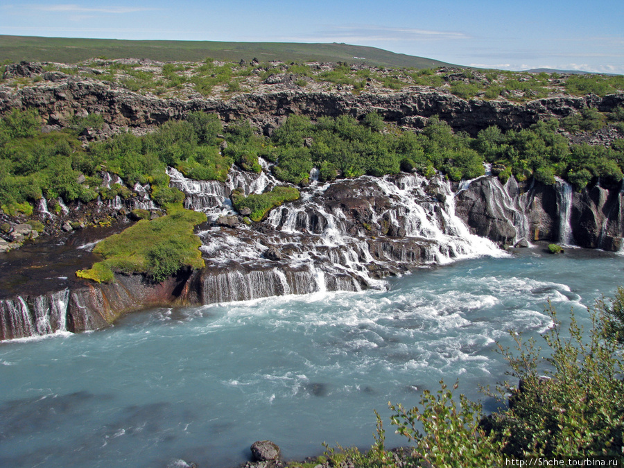 Hraunfossar рекой-то не является, он возникает прямо из горы и уже впадает множеством каскадов, растянувшихся более чем на сотню метров вдоль берега Хвалвы Хрёйнфоссар, Исландия