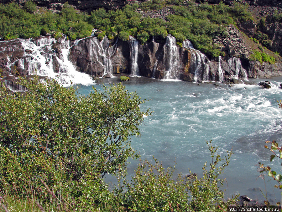 Hraunfossar- по-моему, самый живописный водопад Исландии Хрёйнфоссар, Исландия