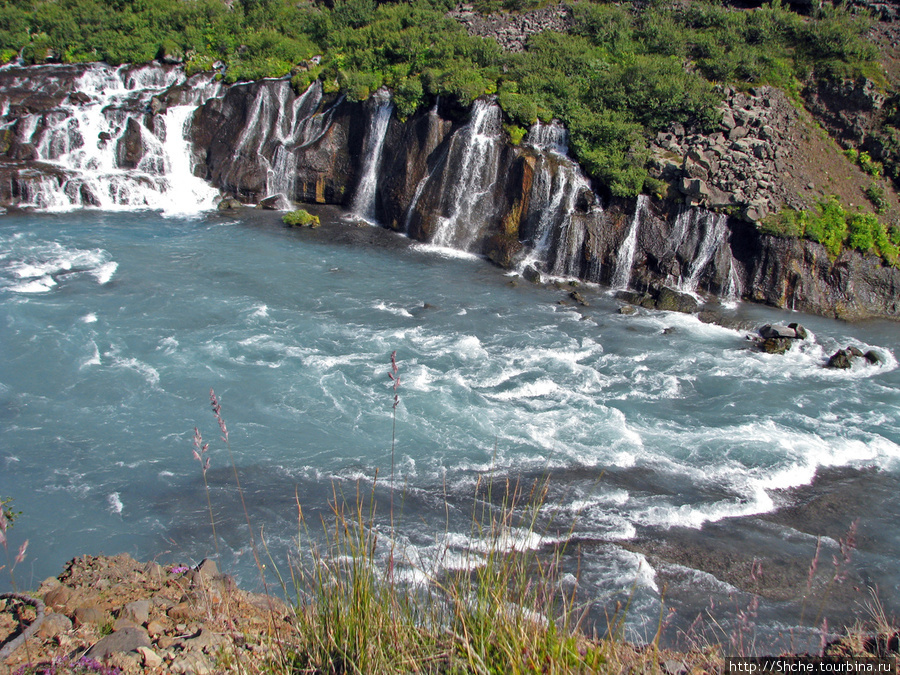 Hraunfossar- по-моему, самый живописный водопад Исландии Хрёйнфоссар, Исландия