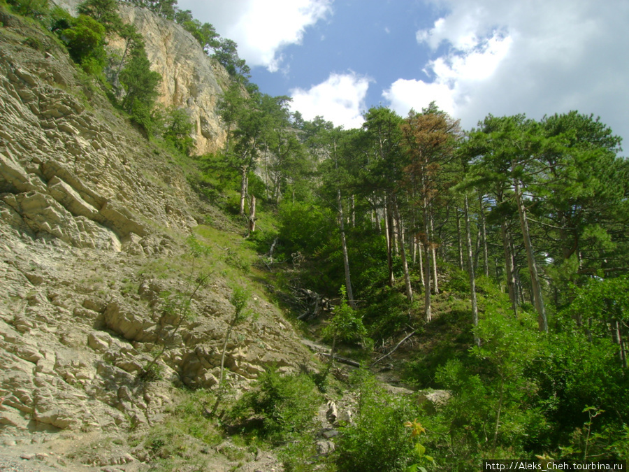 Желающим увидеть самый высокий водопад Украины Ялта, Россия