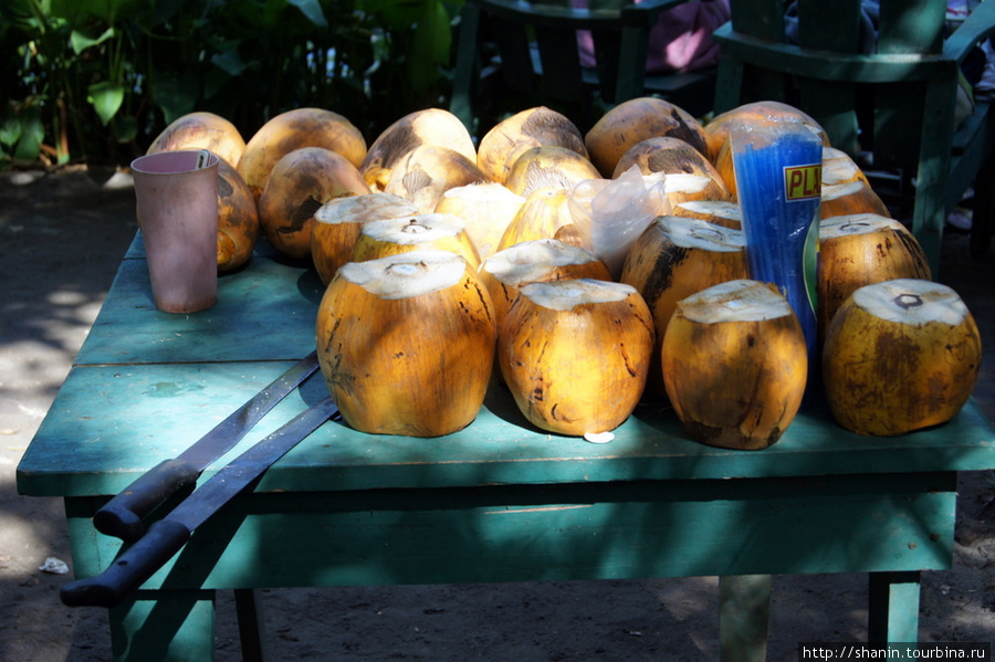 Кокосовый сок — лучшее средство от жажды Остров Ометепе, Никарагуа