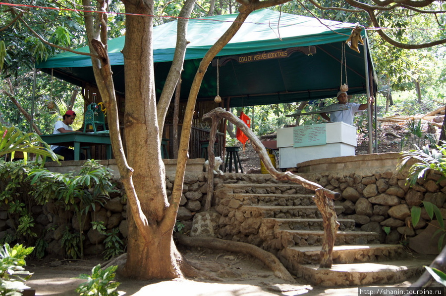Кафе Остров Ометепе, Никарагуа