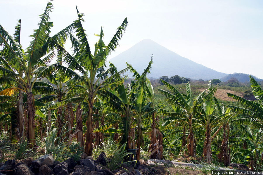 Вулкан Консепсьон — виз со смотровой площадки у Глаза воды Остров Ометепе, Никарагуа