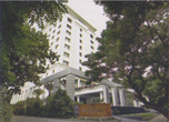 Hotel Raintree (буклетное фото)