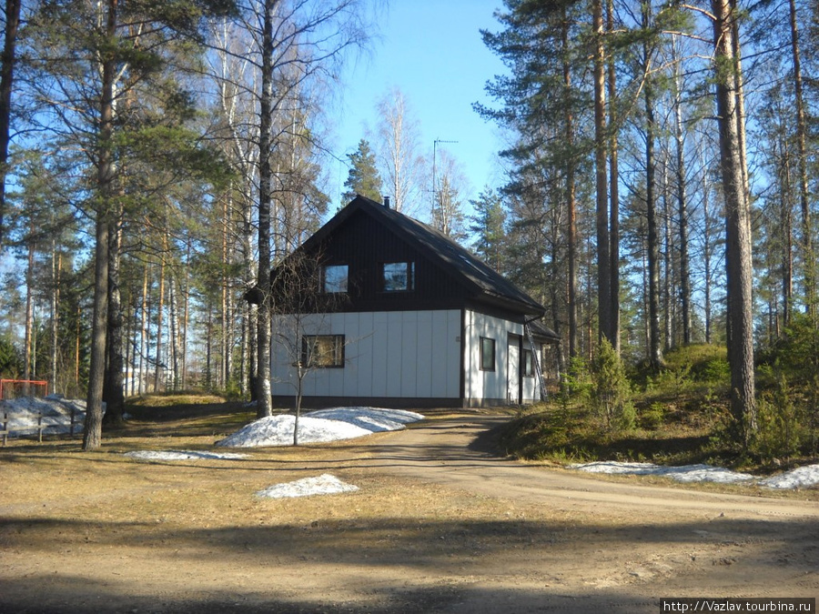 Прячась среди деревьев Луумяки, Финляндия