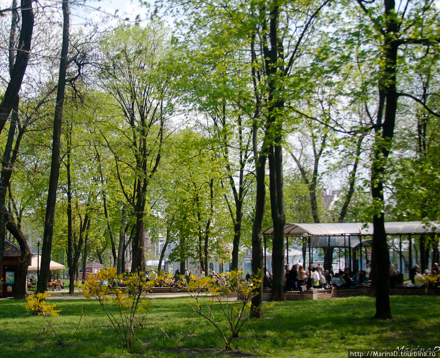 В парке всегда есть с кем поиграть в шахматы, для этого установлены специальные шахматные столики Киев, Украина