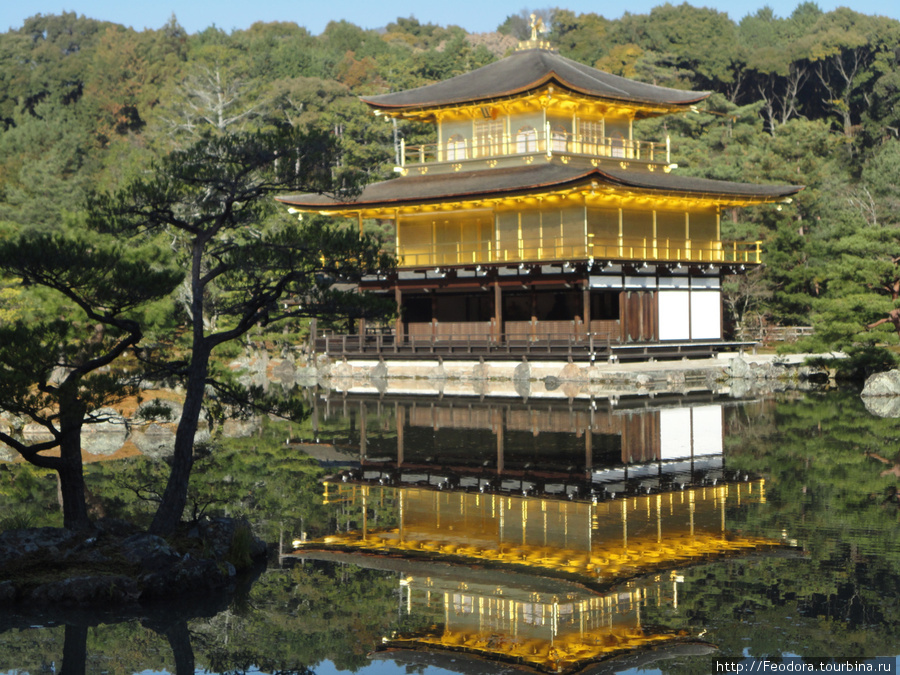 Золотой дворец Япония