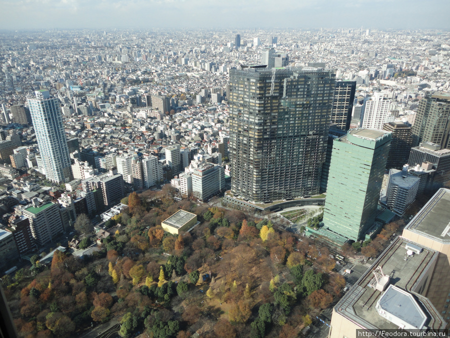 Токио. Вид с 45 этажа Мэрии Япония