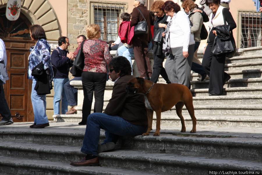 Человек и собака кого-то ждут Ареццо, Италия