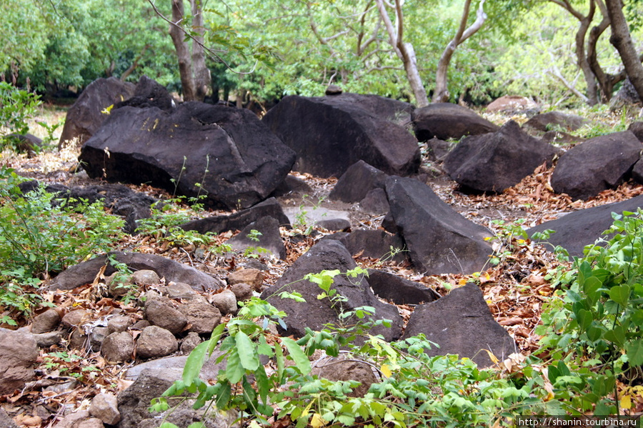 Вулканические камни Остров Ометепе, Никарагуа