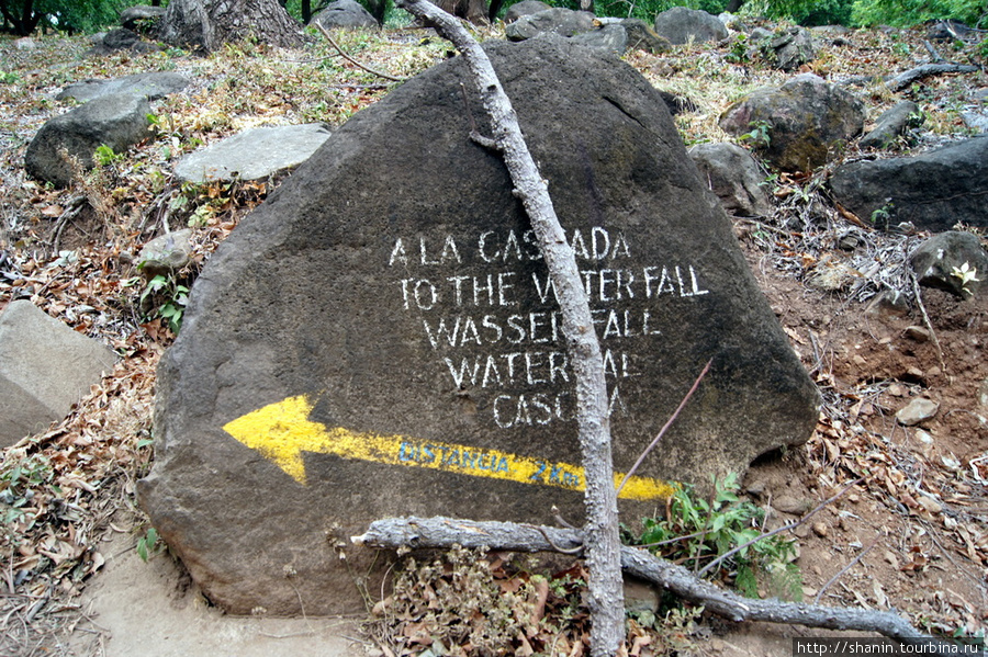 Дорога к водопаду Сан Рамон — туда Остров Ометепе, Никарагуа