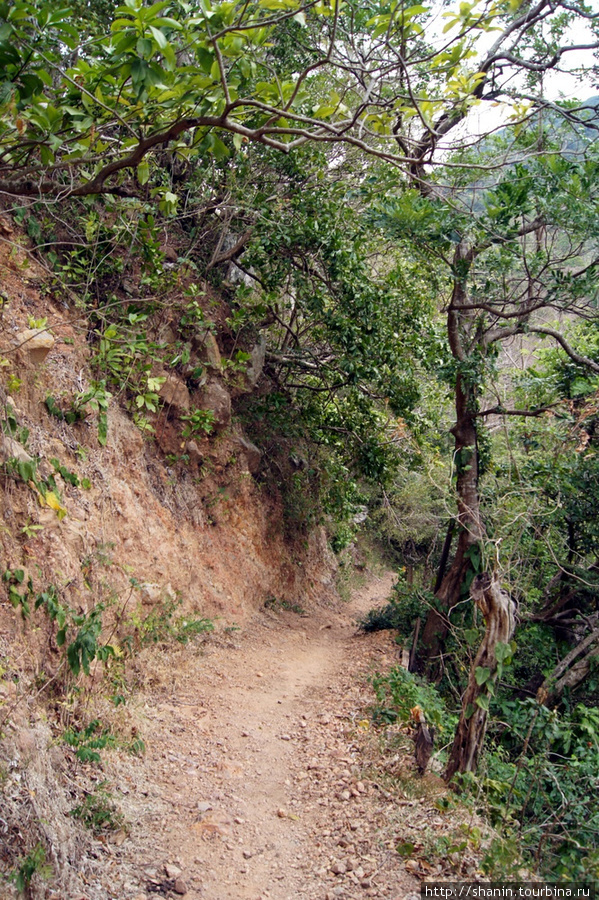 Дорога к водопаду Сан Рамон
