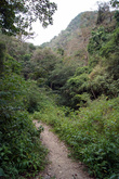 Дорога к водопаду Сан Рамон