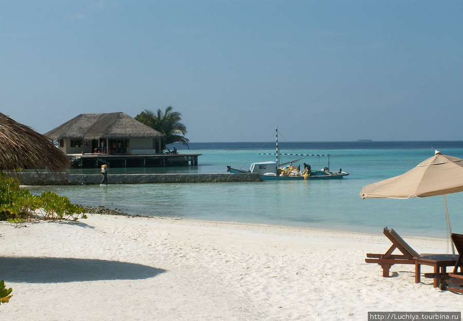 На остров ежедневно привозят большое количество песка,т.к.по голым коралам ходить не очень комфортно. Мальдивские острова