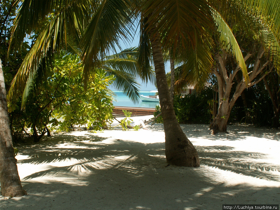 Рай на земле-Мальдивы Мальдивские острова