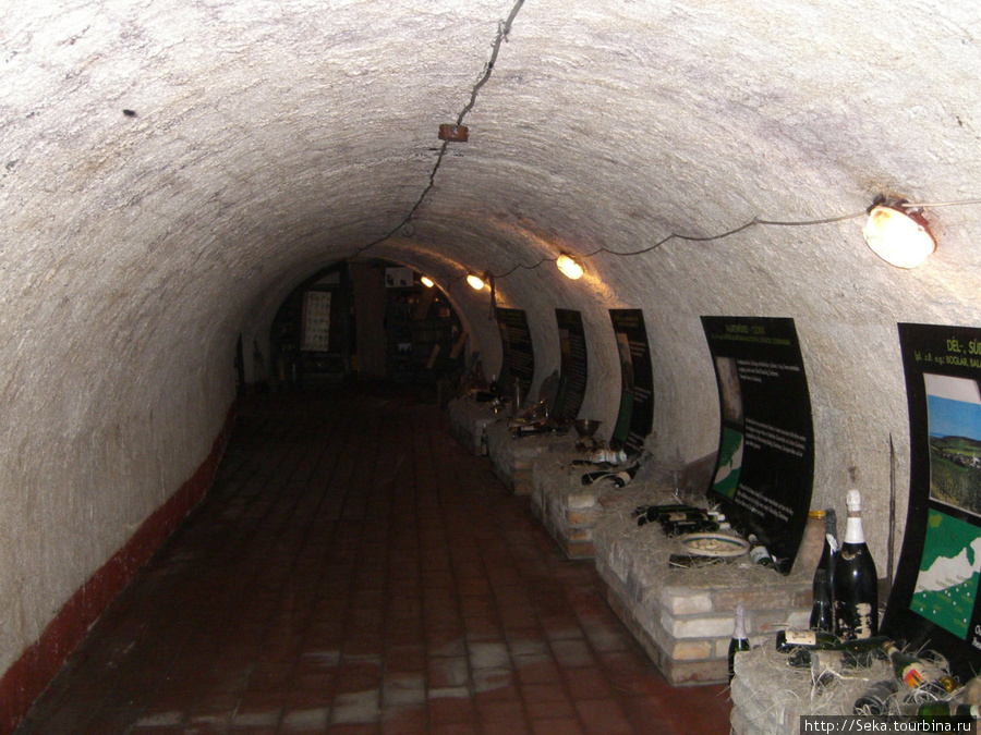 Музей вина Сентендре, Венгрия