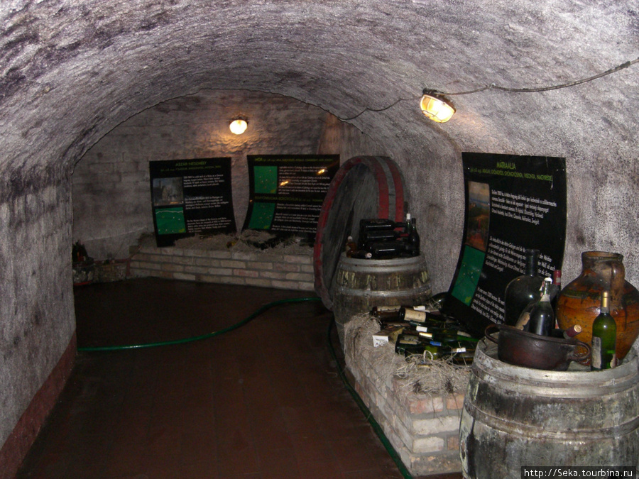 Музей вина Сентендре, Венгрия
