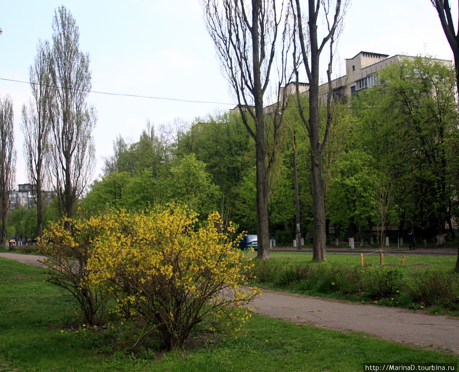 Гроза над бульваром Вернадского Киев, Украина