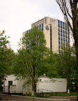 институт  металлофизики