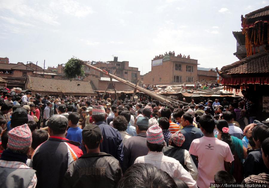 Вот так всем миром непальцы воздвигают на площади огромный шест с ярким зелёным пучком на вершине (их вариант главной ёлки страны :-). Это стоит немалых усилий и продолжается несколько часов. Непал