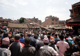 Вот так всем миром непальцы воздвигают на площади огромный шест с ярким зелёным пучком на вершине (их вариант главной ёлки страны :-). Это стоит немалых усилий и продолжается несколько часов.