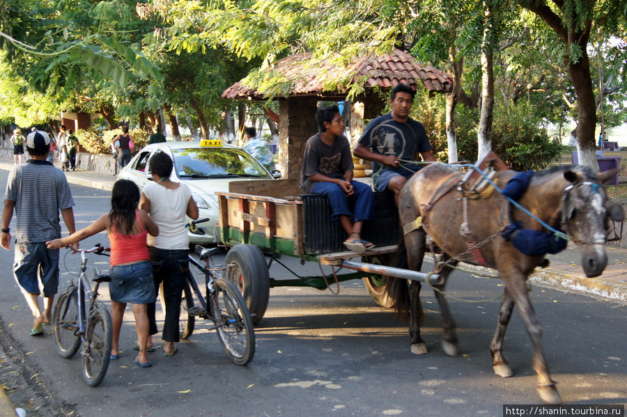 Гужевой транспорт в парке Гранада, Никарагуа