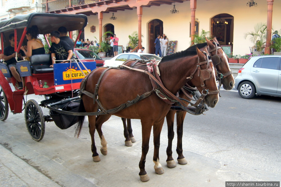 Лошади Гранада, Никарагуа