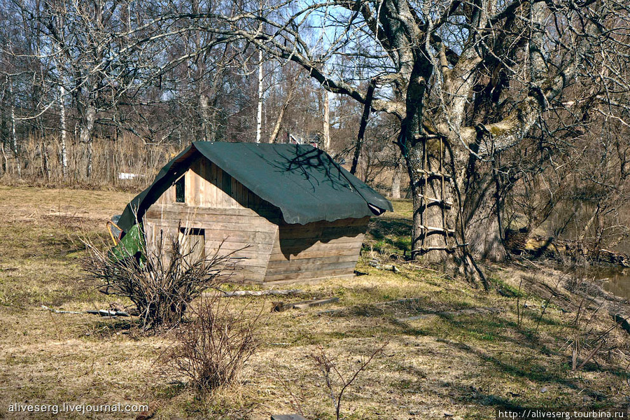 Мутные воды Сиунтио в Щундьбю, Порккала | Sjundby, Porkkala Инкоо, Финляндия