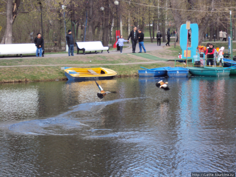 1 мая в Екатерининском парке Москва, Россия