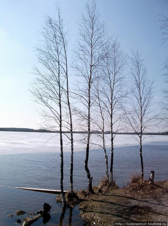 У озера Савкино. Нижневартовск, Россия