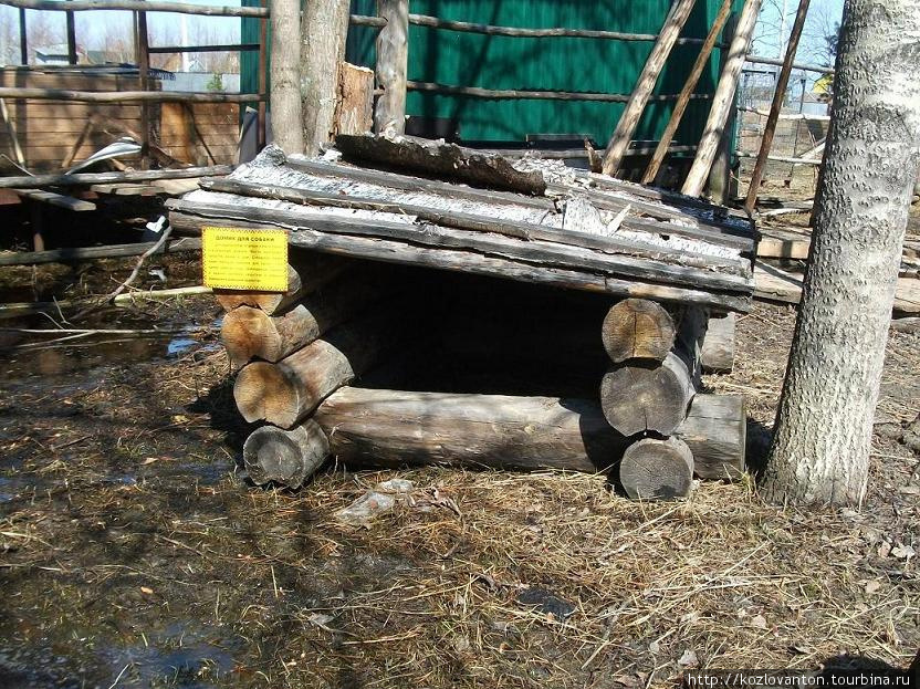 Домик для сибирской лайки — этого пастуха оленьих стад. Нижневартовск, Россия