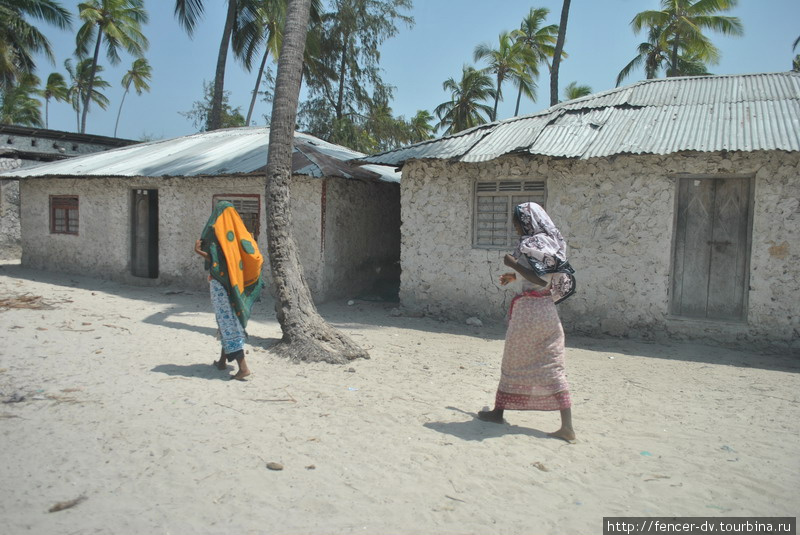 Обычные жительницы на фоне обычных домов на обычной улице Матемве Матемве, Танзания