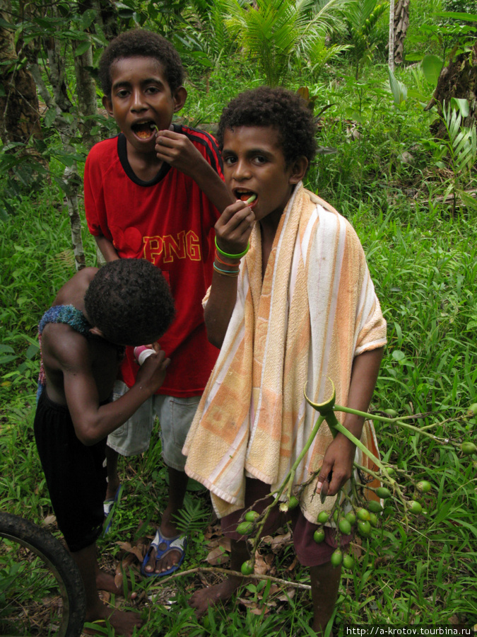 Жители Папуа-Новой-Гвинеи (1) Папуа-Новая Гвинея
