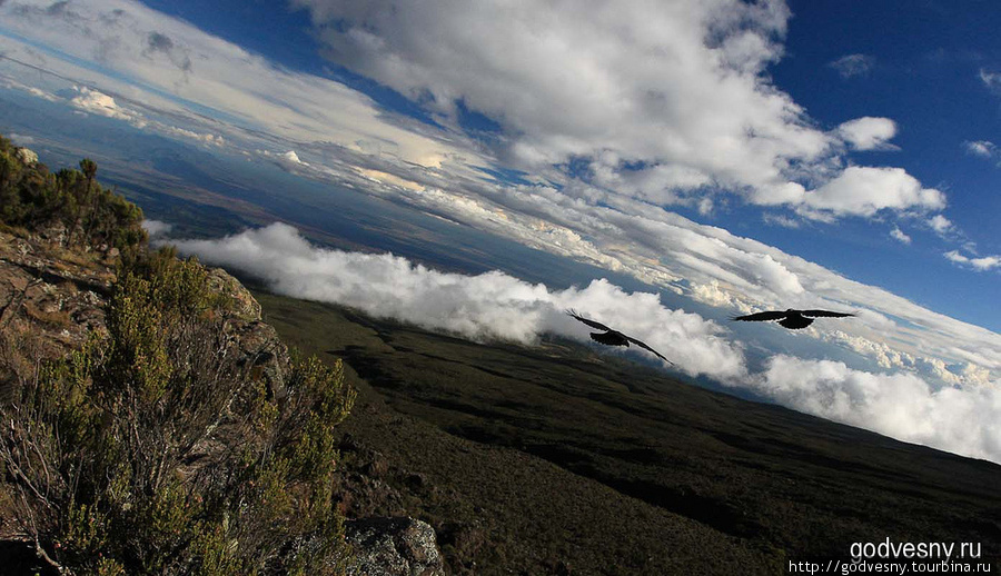 Килиманджаро. Часть вторая. Преодоление Гора (вулкан) Килиманджаро (5895м), Танзания