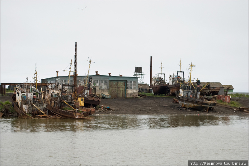 По берегам реки Камчатка множество разрушенных и гниющих судов. Камчатский край, Россия