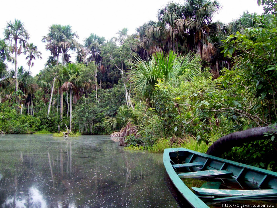 Сухих лодок в джунглях не