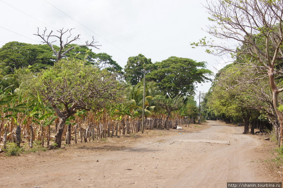 Пустынная дорога Остров Ометепе, Никарагуа