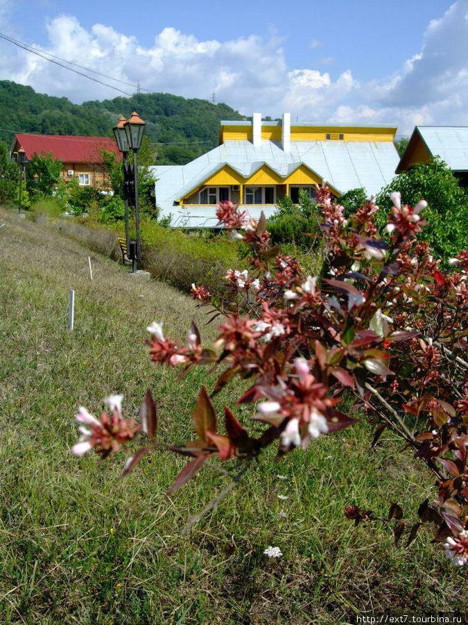 Сочи - Нижняя Хобза Сочи, Россия