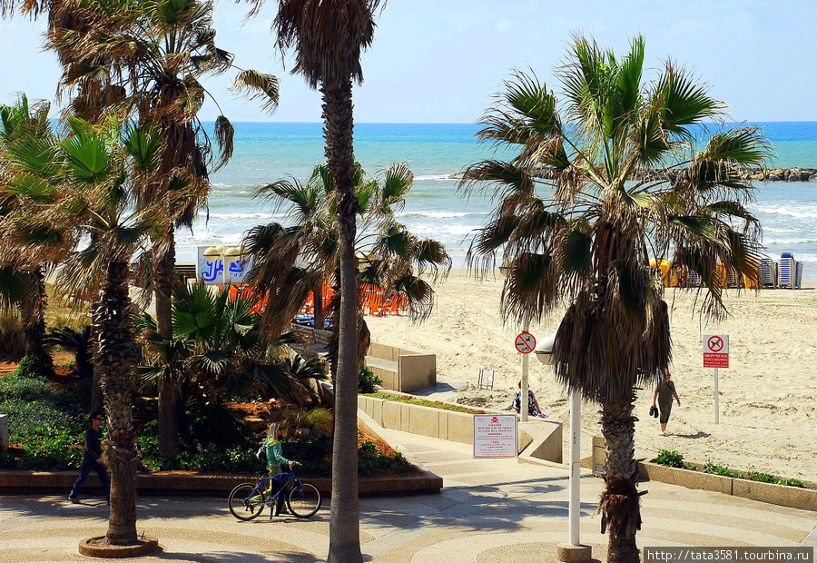 Тель-Авив - Средиземноморский курорт Тель-Авив, Израиль
