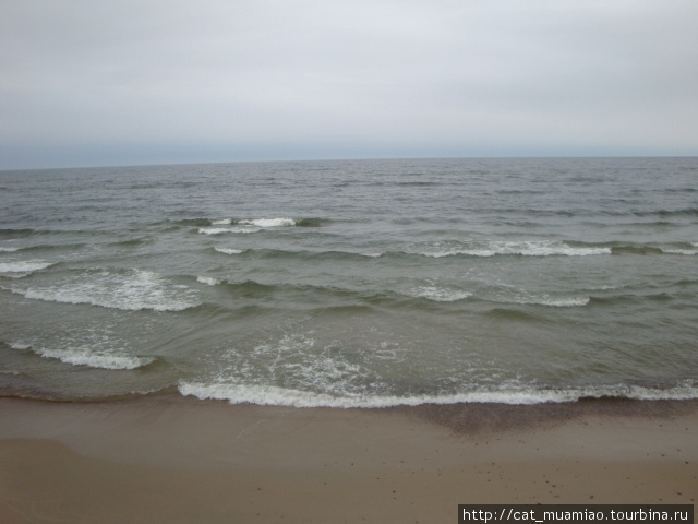 Балтийское море в пасмурный день Светлогорск, Россия
