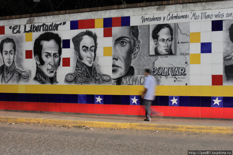 Пампасы — 48. 04.05.2011. Очередная странная граница. Штат Тачира, Венесуэла