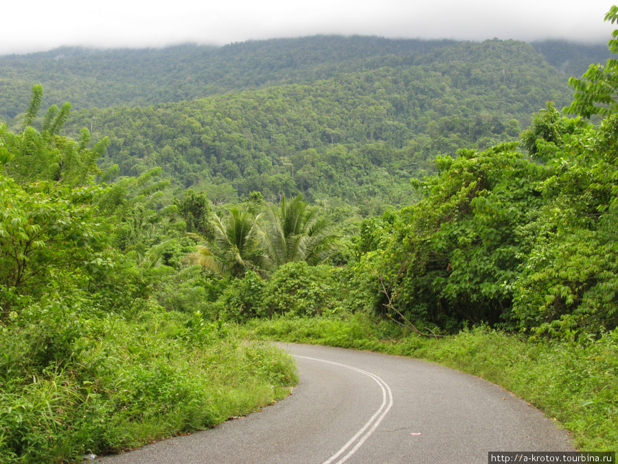 Приграничная дорога от самой Джайпуры до Ванимо — новый асфальт Вутунг, Папуа-Новая Гвинея