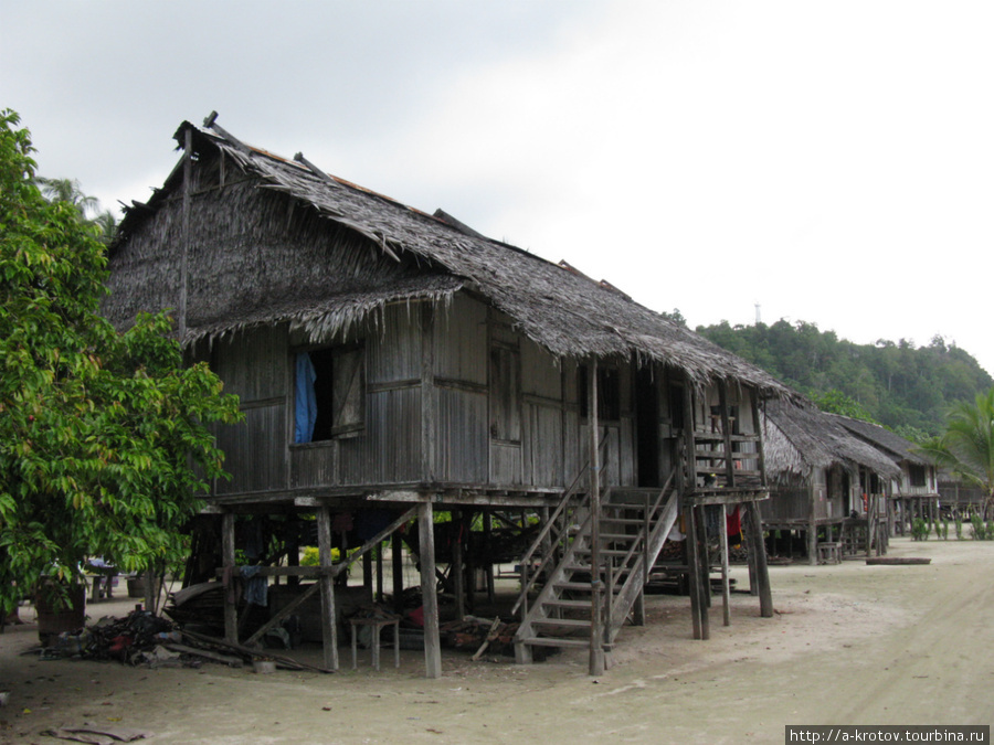 В таких домах живут местные люди Вутунг, Папуа-Новая Гвинея