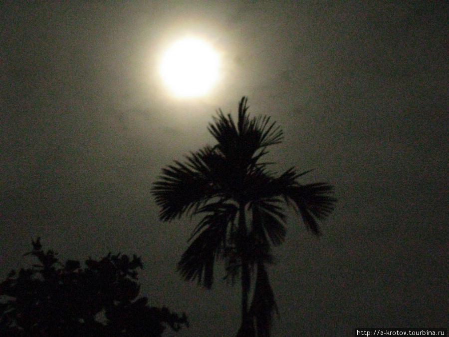 Ночь над Вутунгом Вутунг, Папуа-Новая Гвинея