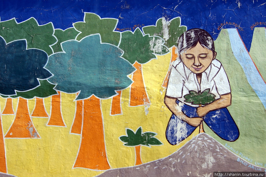 Фреска Моягальпа, остров Ометепе, Никарагуа