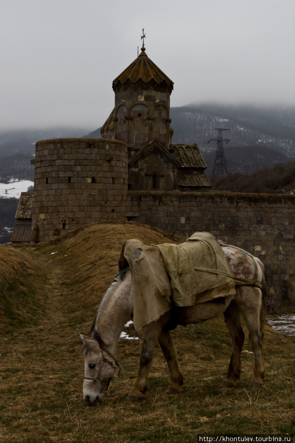 Татев и лошадь Армения