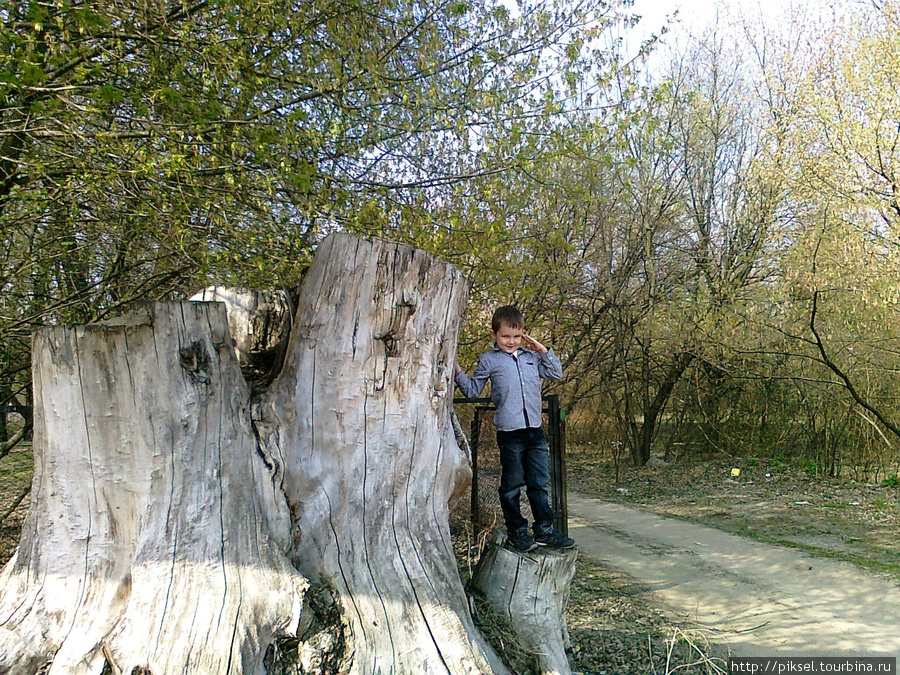 Ландшафтный парк им.Дружбы народов.  Фотозарисовки. Великан и Малыш Киев, Украина